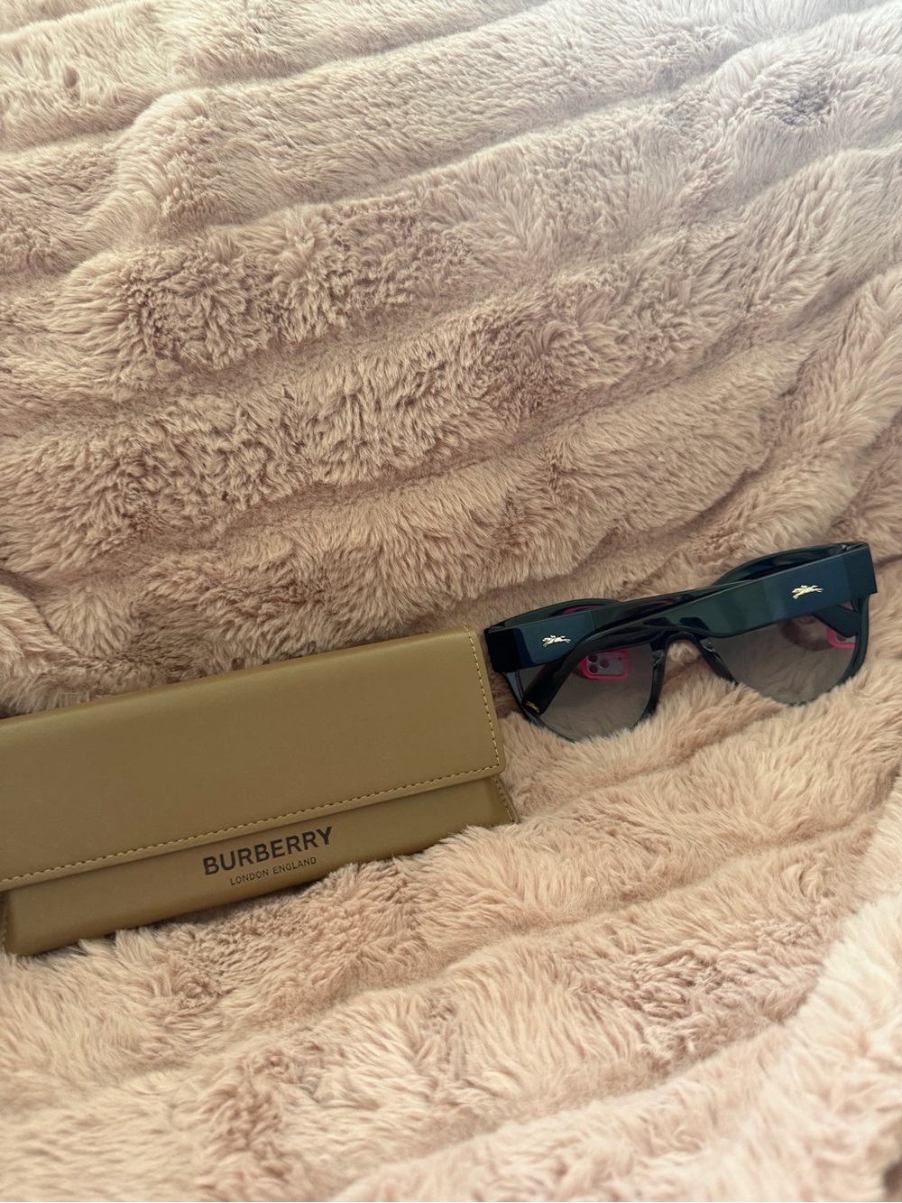 Longchamp Black Cat-Eye Sunglasses with Burberry case